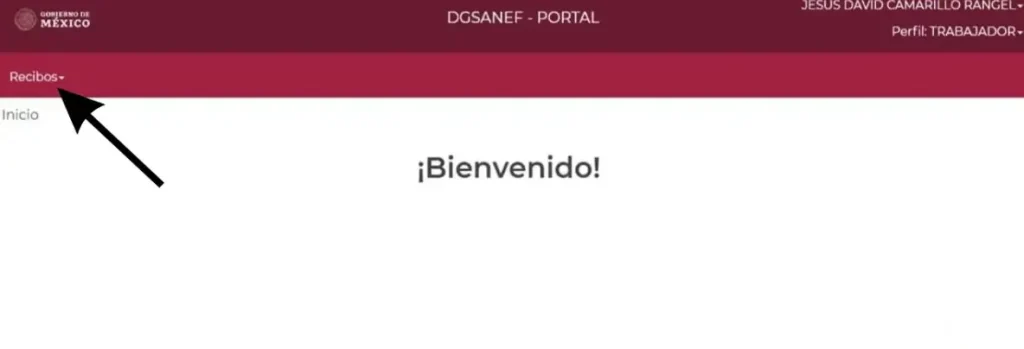 Mi Portal FONE SEP - Acceso con CURP y Talón de Pago