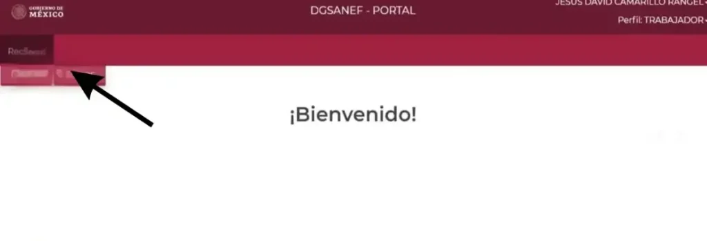 Mi Portal FONE SEP - Acceso con CURP y Talón de Pago