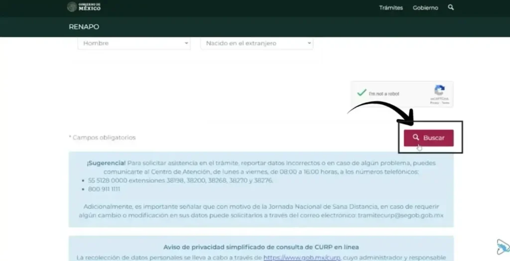 Mi Portal FONE SEP - Acceso con CURP y Talón de Pago
