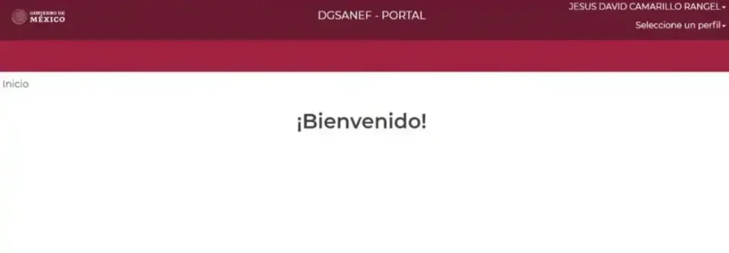 Mi Portal FONE SEP - Acceso con CURP y Talón de Pago