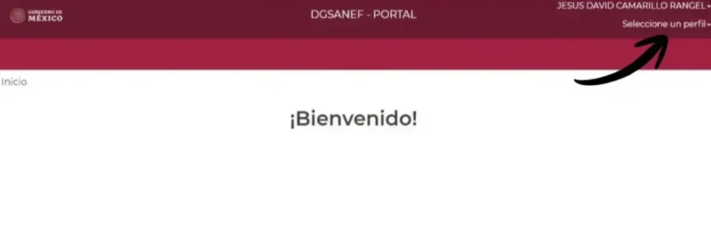 Mi Portal FONE SEP - Acceso con CURP y Talón de Pago